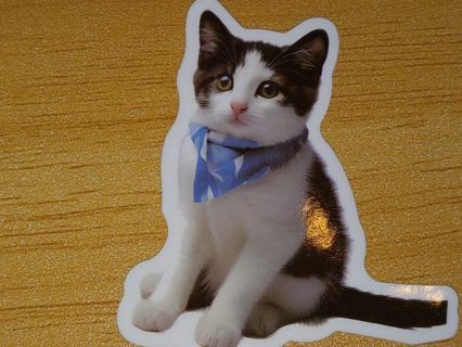 Cat Cute new one nice vinyl lab top sticker no refunds regular mail high quality!