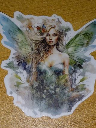 Fairy Cool new 1⃣ self adhesive vinyl lap top sticker no refunds regular mail very nice quality