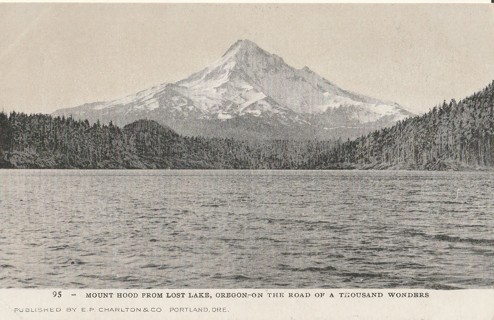 Vintage Unused Postcard: (d): Mount Hood from Lost Lake, OR