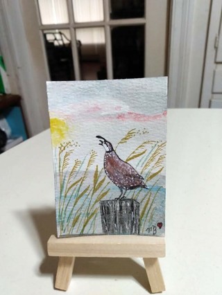 ACEO Original Watercolor Painting 2-1/2"X 3/1/2 Quail & Golden Feather Grass  by Artist Marykay Bond