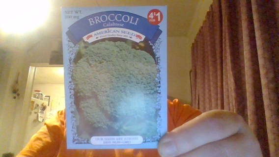 broccoli seeds