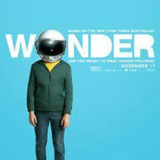 Wonder iTunes Digital Movie Code USA