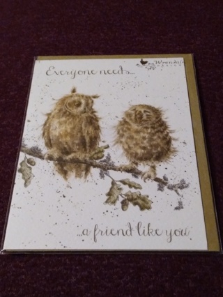 Greeting Card - Owl Friends