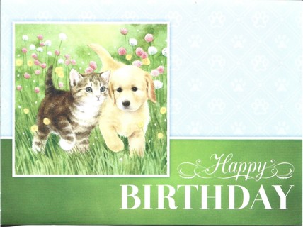 Brand New Never Been Used Greeting Card Happy Birthday With Matching Envelope