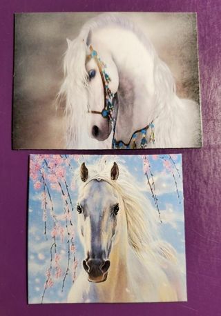 Pretty Horse Magnets