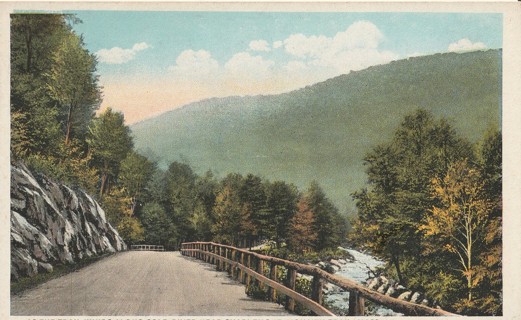 Vintage Unused Postcard: s: Mohawk Trail, Berkshire Hills, MA