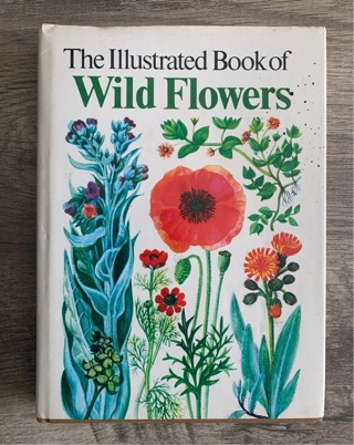 The Illustrated Book of Wild Flowers by Gregory, Mary Hardback Book The Fast