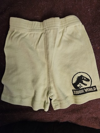 Jurassic Park shorts