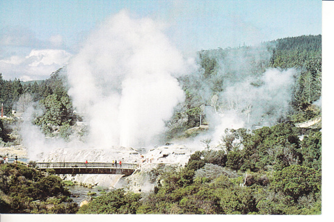 Vintage Postcard Pohutu Geyser Field, New Zealand