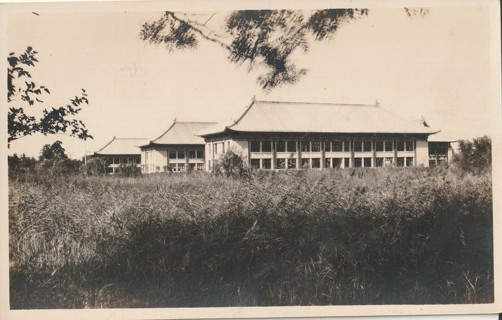 Vintage Unused Postcard: gin k: Unknown Building