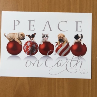 Peace Christmas Card 