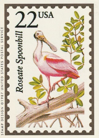 Vintage Wildlife America Collector/Trade Card: Roseate Spoonbill