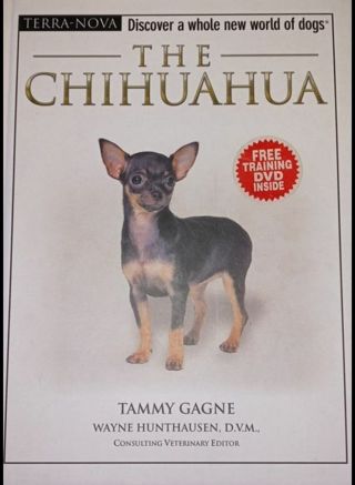 Chihuahua training book with dvd