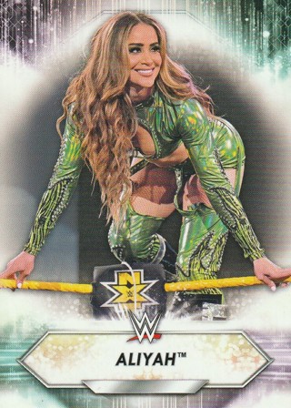 WWE Smackdown Wrestling Card: Aliyah