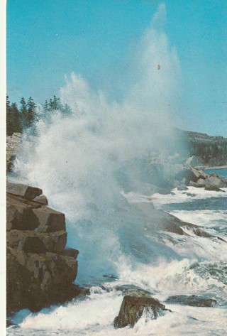 Vintage Unused Postcard: c: Ocean Drive, Acadia National Park, Maine