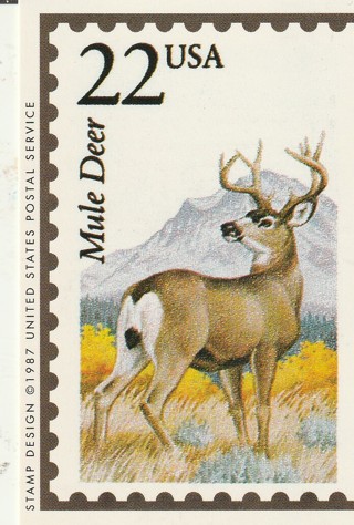 Vintage Wildlife America Collector/Trade Card: Mule Deer