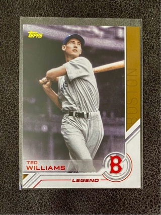 Ted Williams insert