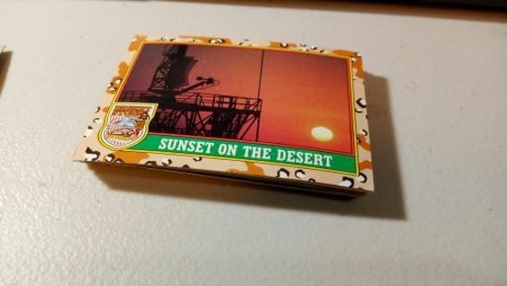 Sunset on the Desert (Brown)