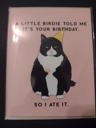 Birthday Card - Funny Cat
