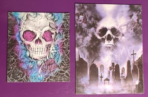 Skull Magnets