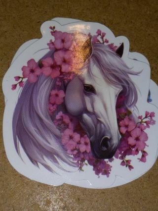 Beautiful one nice vinyl sticker no refunds regular mail only Very nice quality!