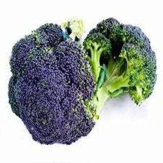 Broccoli Miranda (purple)