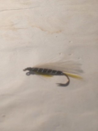 Fishing Fly