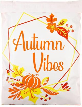 ⭕NEW⭕(1) AUTUMN VIBES POLY MAILER 10x13"⭕