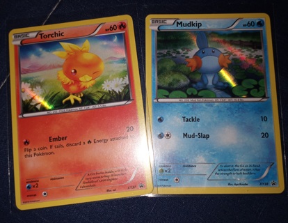 2 pokemon  XY promo cards