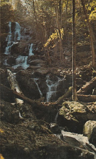 Vintage Unused Postcard: d: Dark Hollow Falls, Shenandoah National Park