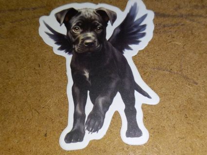 Dog Cool nice one vinyl sticker no refunds regular mail only Very nice quality!