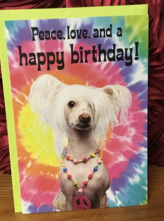 Peace Dog Birthday Card