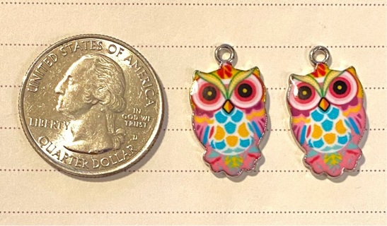 2 pc enamel owl charms