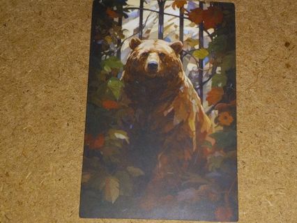 Bear Cool vinyl lap top sticker no refunds regular mail very nice quality