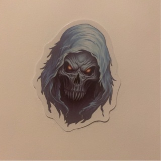 Skull sticker 