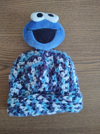 Hand Crocheted Blue Ombre Cookie Monster Baby Hat