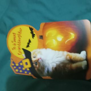 Halloween Greeting Card #4