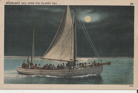 Vintage Unused Postcard: h: Moonlight over the Silvery Sea