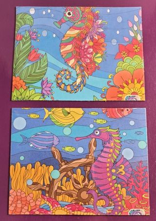 Seahorse Magnets