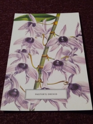 Botanical Postcard - PASTOR'S ORCHID