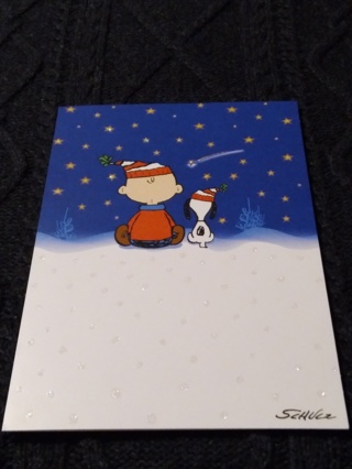 PEANUTS Christmas Card - Magical