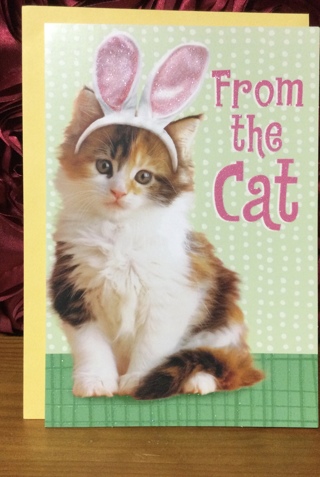 Kitten Wearing Bunny Ears Easter Card