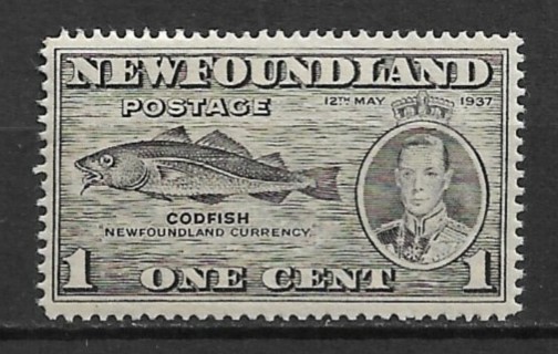 1937 Newfoundland Sc233 1¢ Codfish MNH