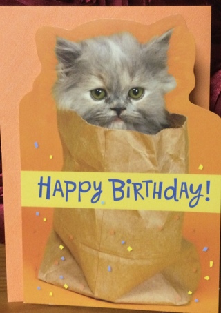 Happy Birthday Birthday Cat in A Bag Card