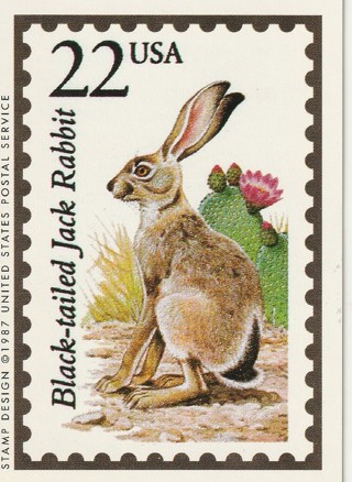 Vintage Wildlife America Collector/Trade Card: Black Tailed Jack Rabbit