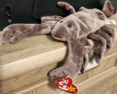 NEW - TY Beanie Baby - "Stinger"