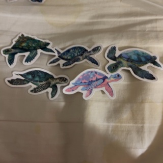 5 turtle stickers 