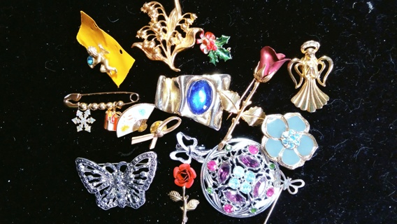 Lot 12 Vintage & Modern Pins Brooches  (2)