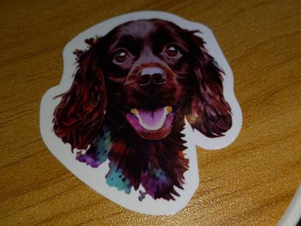 Dog New 1⃣ Cute vinyl sticker no refunds regular mail only Very nice quality!
