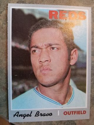 1970 T.C.G. ANGEL BRAVO CINCINNATI REDS BASEBALL CARD# 283